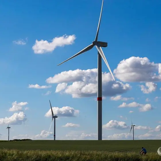 Competing firms for Suez Gulf wind energy plant tender request bid submission deferral to January