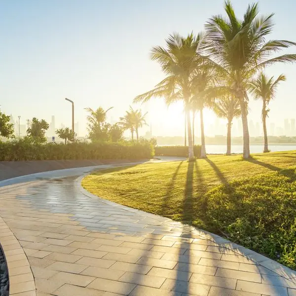 UAE: Expat plants hundreds of trees on street outside home; transforms locality into green oasis