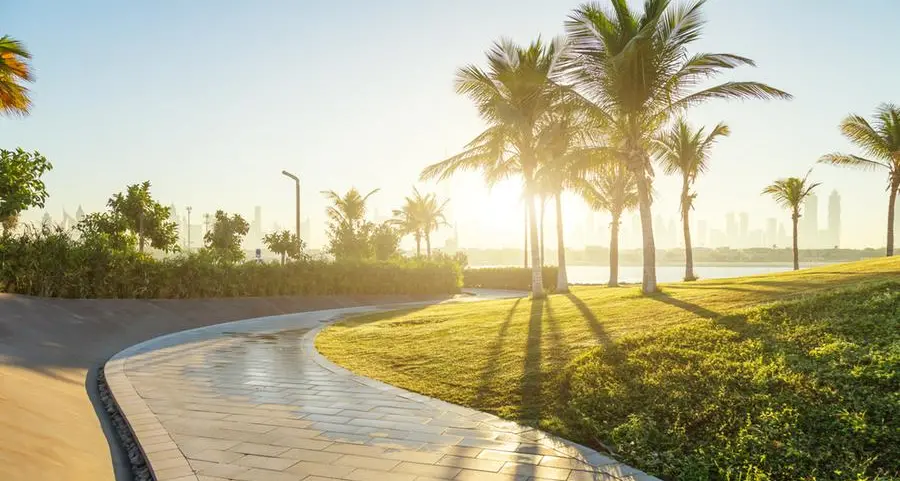 UAE: Expat plants hundreds of trees on street outside home; transforms locality into green oasis