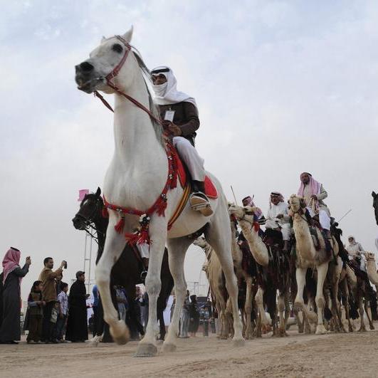 Saudi Arabian Horse Festival gallops into Riyadh