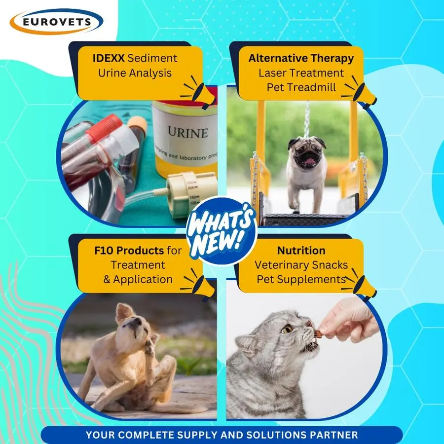 Modernize your veterinary practice with Eurovets