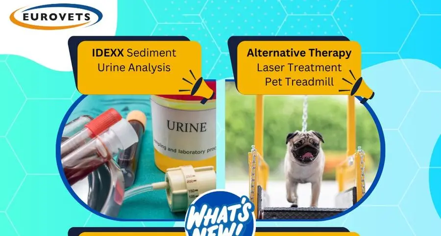 Modernize your veterinary practice with Eurovets