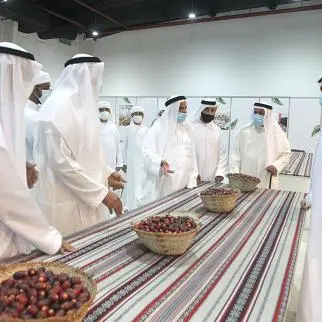 Al Dhaid Date Festival 2021: an incredible platform for palm owners to promote their products