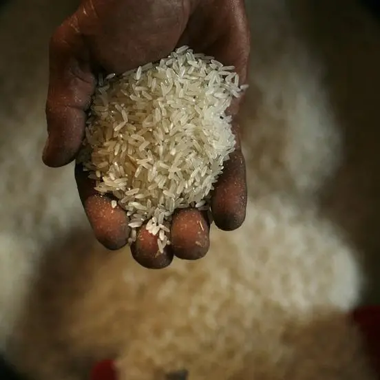 Indonesia's state food procurement agency secures 1mln metric tons of rice imports contracts