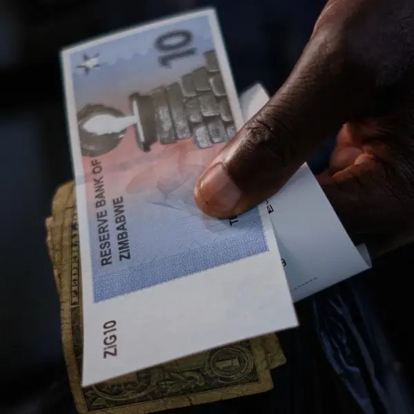 Is Zimbabwe zigzagging into further currency chaos?