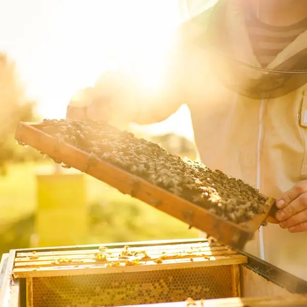 40 years, 3 generations: Honey-making runs in the family for these UAE expats