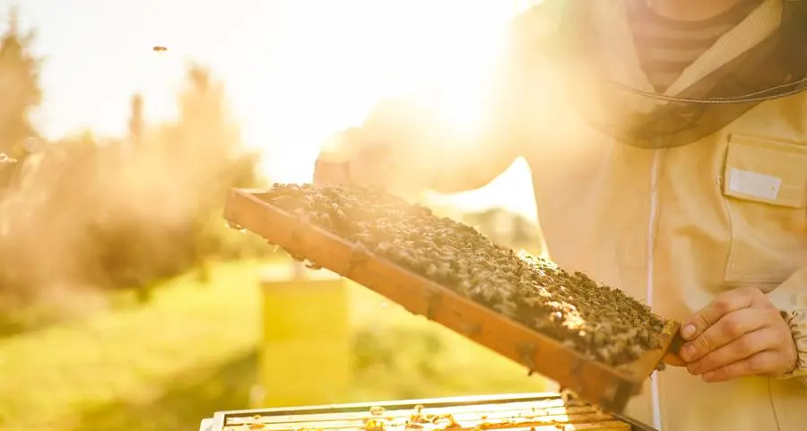 40 years, 3 generations: Honey-making runs in the family for these UAE expats