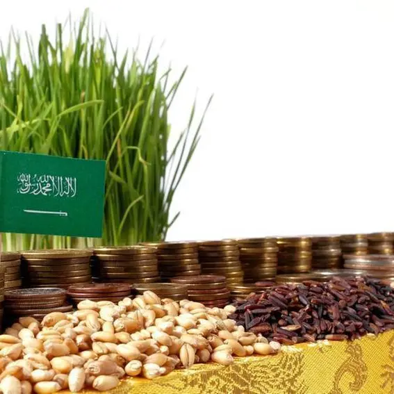 السعودية: ترسية شراء 1.043 مليون طن من القمح