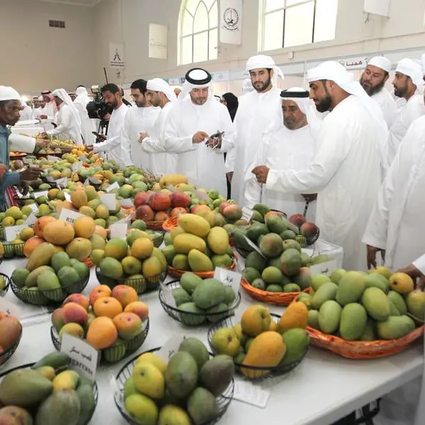 3rd Mango Festival 2024 kicks off at Expo Khor Fakkan with participation of over 30 farmers