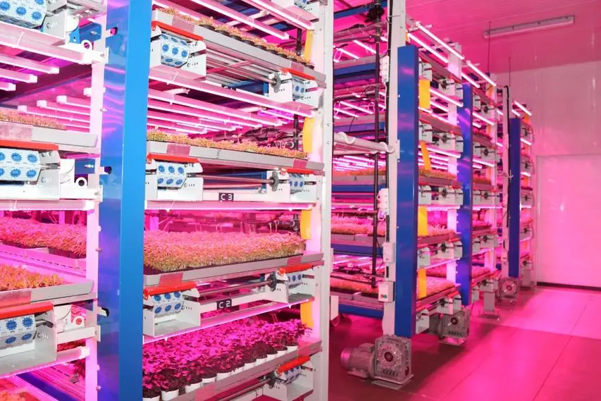 World’s largest indoor vertical farm opens in Abu Dhabi