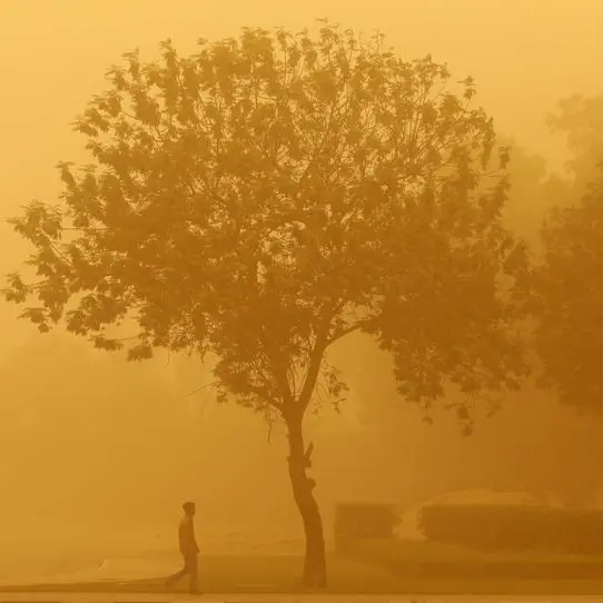 عاصفة حائل تقتلع الأشجار وتقطع الكهرباء وتوقف رحلات الطيران