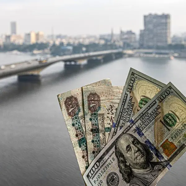 الجنيه المصري يواصل الانخفاض ويُتداول عند 30.77 جنيه للدولار