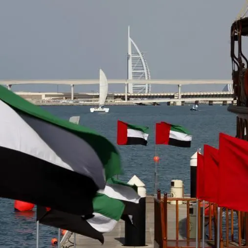 Fighter jets paint Dubai skies in UAE colours; 4,000 flags form Sheikh Mohamed’s portrait