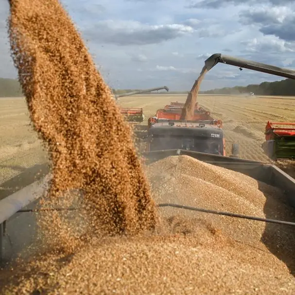 Russian wheat export prices dip, deal reported below AgMin \"floor\"