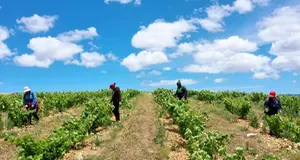 Boosting food security: Eastern Cape's new rural hubs initiative