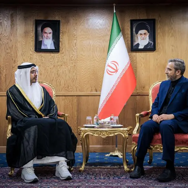 UAE: Abdullah bin Zayed attends official mourning ceremony of late Iranian President