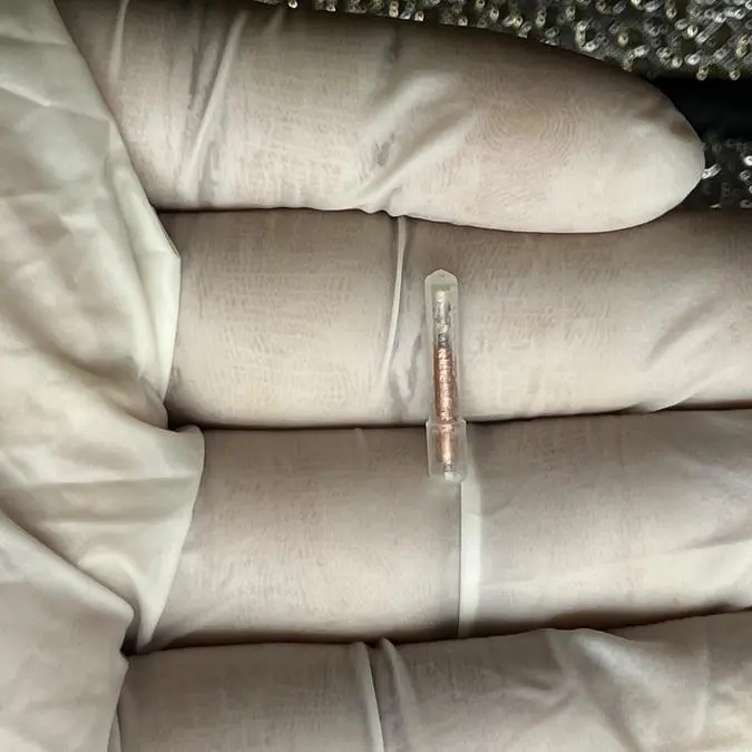 NYU Abu Dhabi Researchers develop wireless light pill to control gut neurons without surgery