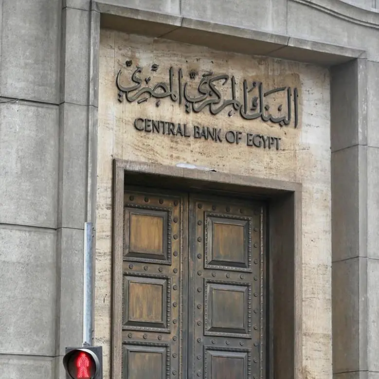 The Central Bank of Egypt (CBE) issues regulations for initiative to support production sectors