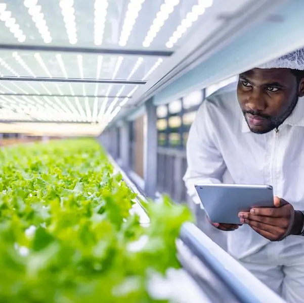 Mowreq and YesHealth Group sign deal to build Saudi Arabia’s largest indoor vertical farm