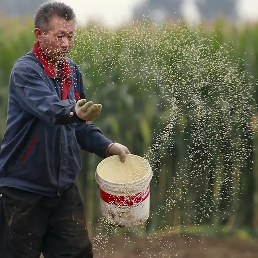 U.S. farm leaders, visiting China, talk up agriculture trade