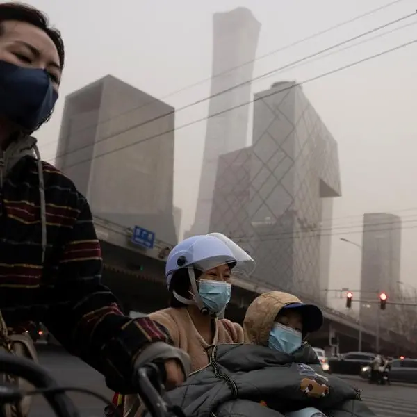 Northwest China cities halt heavy industries to curb pollution