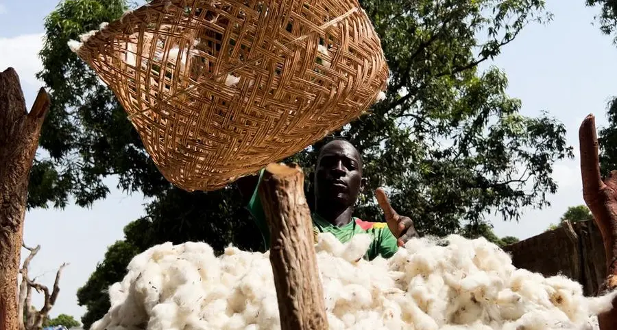 Chad's cotton farmers burned by climate change and false promises