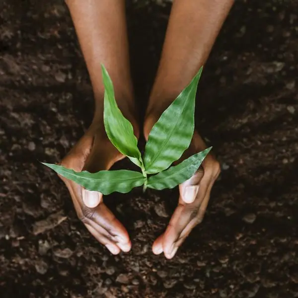 EEG plants 500 saplings in Abu Dhabi under ‘For Our Emirates We Plant’ Programme