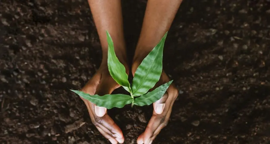 EEG plants 500 saplings in Abu Dhabi under ‘For Our Emirates We Plant’ Programme