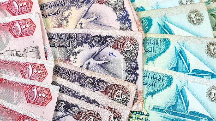تفاصيل: الإمارات تزيد علاوات ومخصصات مالية جديدة للإماراتيين