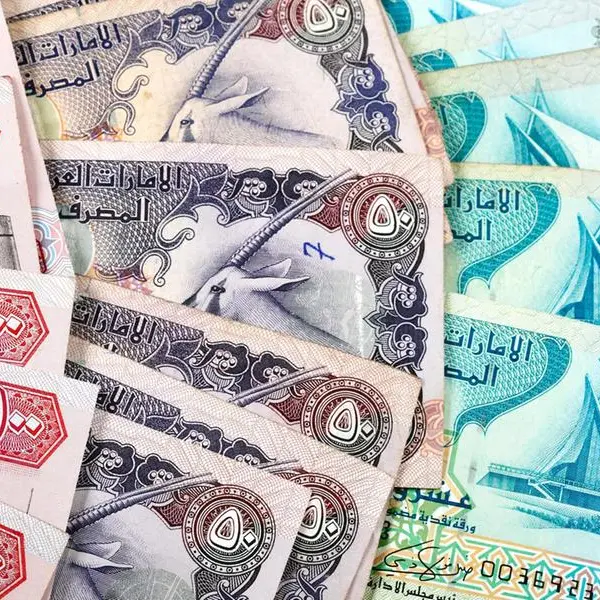 تفاصيل: الإمارات تزيد علاوات ومخصصات مالية جديدة للإماراتيين
