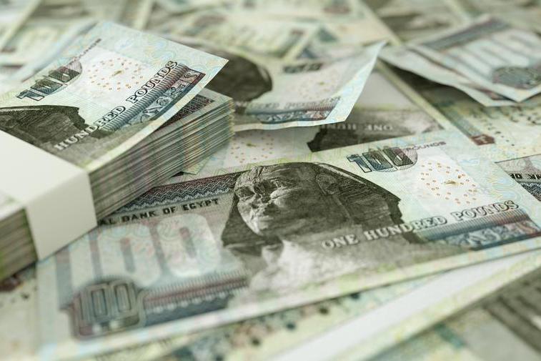 Remittances from Egyptians abroad up 21% YoY in January 2026: CBE