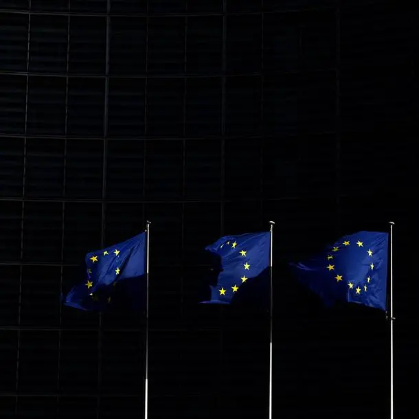 EU regulators hit US wall in quest for private credit data