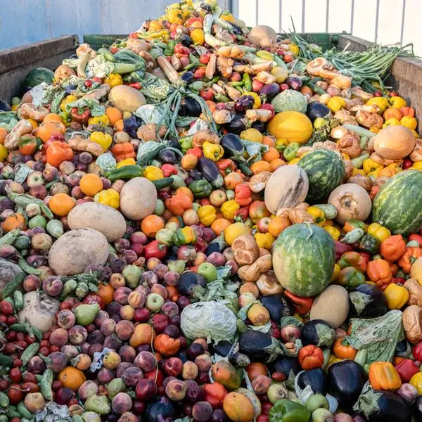Experts discuss role of organic waste management in advancing UAE circular economy