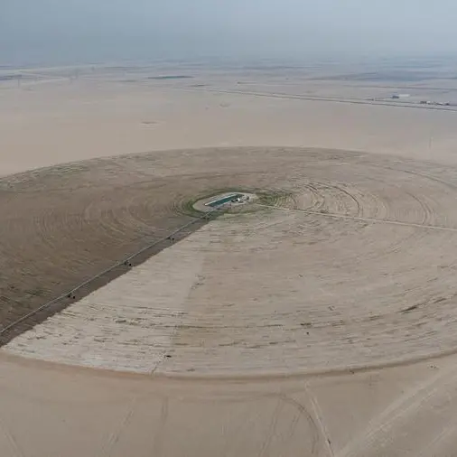 Wheat rises nearly 2% as US prepares to blockade Strait of Hormuz