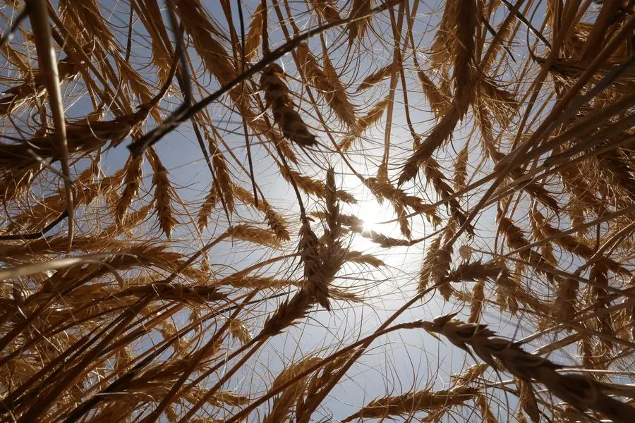 Reuters/REUTERS