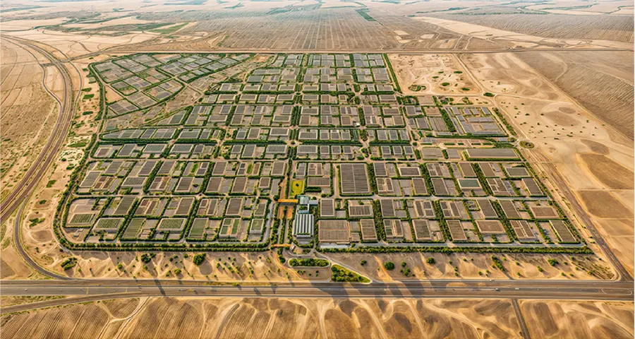 SILZ Company engages global investors at Web Summit, showcasing integrated logistics opportunities