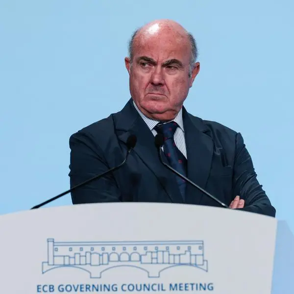 ECB comfortable with rates; sees only temporary inflation undershoot, VP says