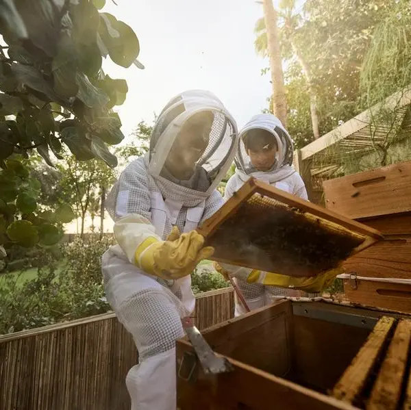 Jumeirah unveils Eco Village, an immersive sustainability destination at Madinat Jumeirah