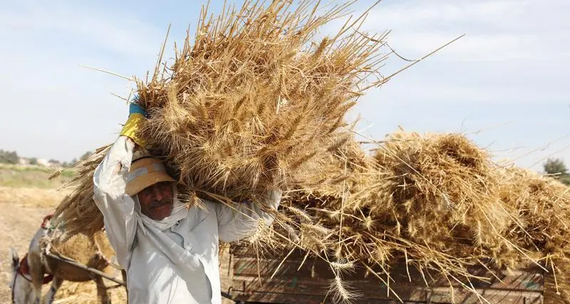 Jordan buys estimated 60,000 metric tons wheat in tender, traders say