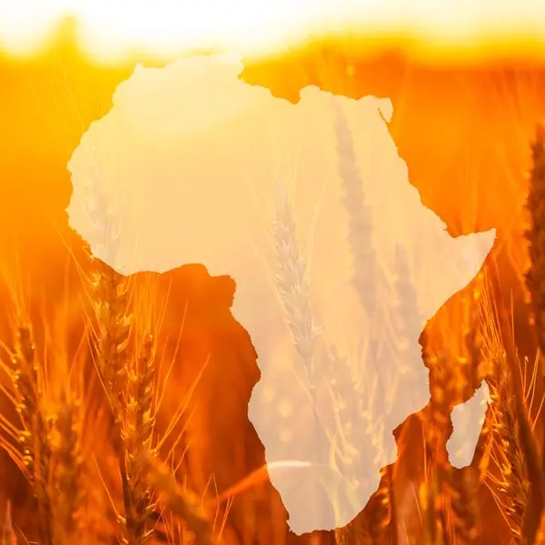 FAO urges Africa to scale up aquaculture for food security