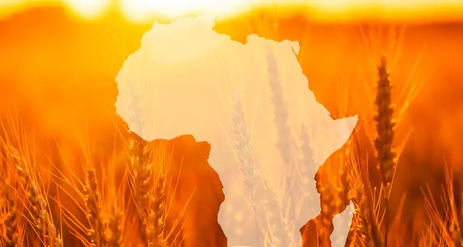 FAO urges Africa to scale up aquaculture for food security
