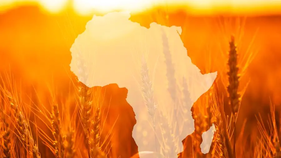 New report highlights visibility gap among African SMEs