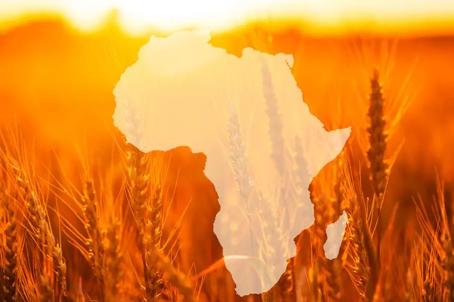 What Africa can teach the rest of the world’s food and hospitality sector ?