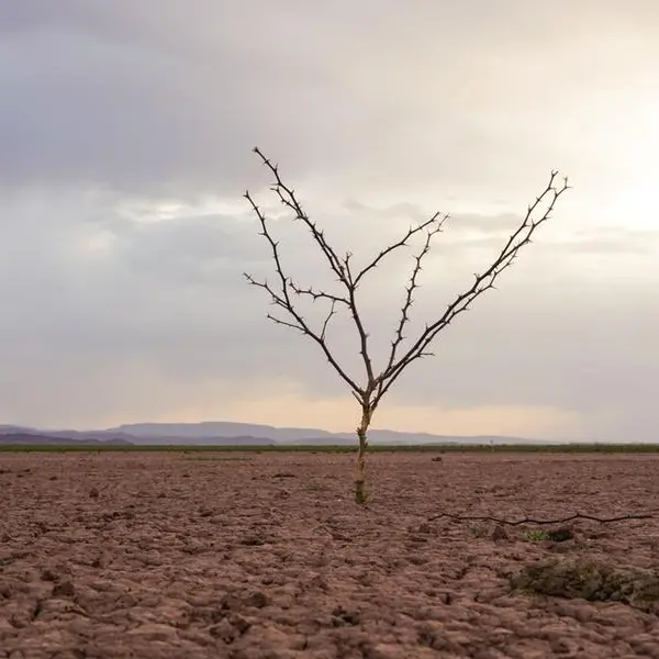 Egypt launches regional forum to accelerate climate finance in Africa