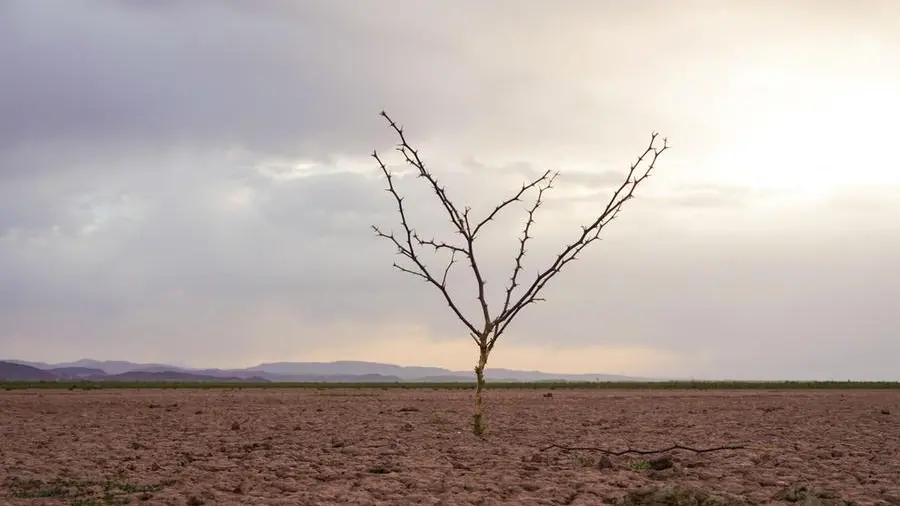 Egypt launches regional forum to accelerate climate finance in Africa