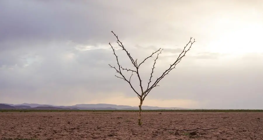 Egypt launches regional forum to accelerate climate finance in Africa