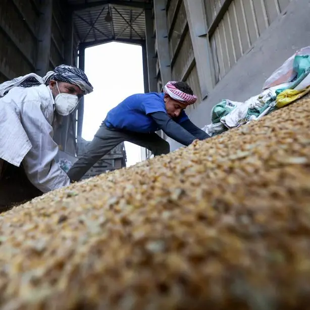 Egypt buys record amount of wheat from farmers after reforms