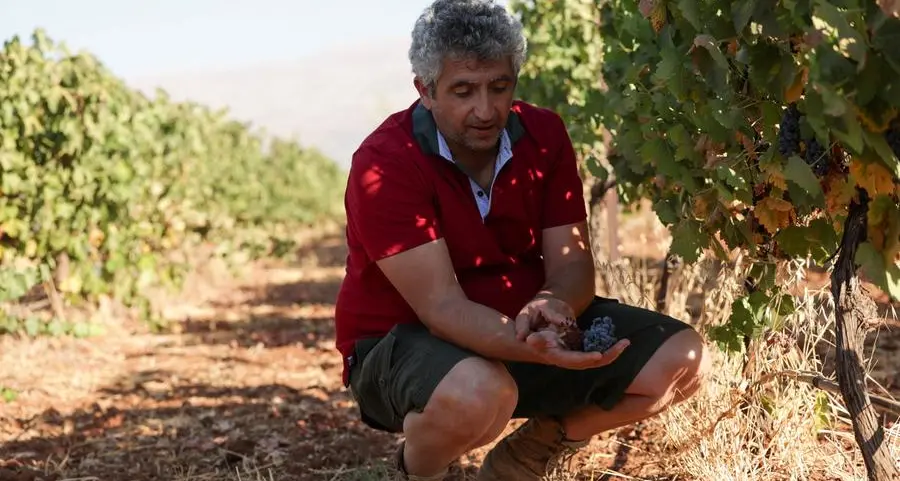 IMF urges Lebanon to improve reform laws, consider tax reforms