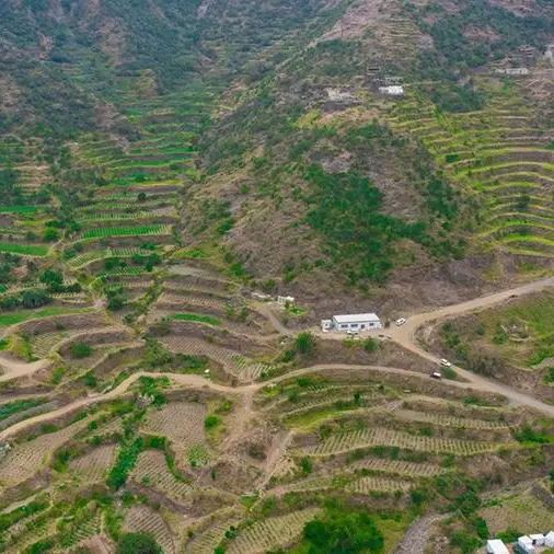 Saudi Arabia expands its public green spaces by 6mln sq m