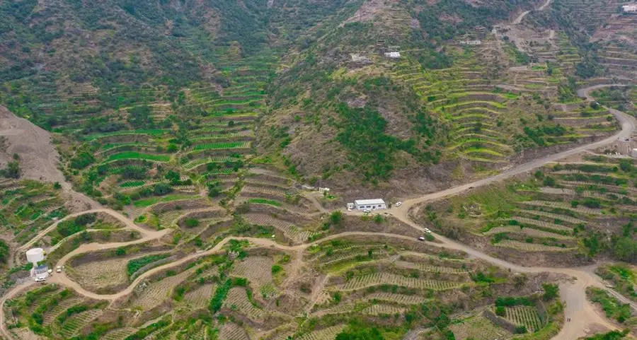 Saudi Arabia expands its public green spaces by 6mln sq m